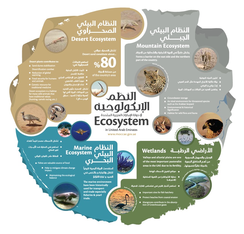 ecosystem-uae.jpg