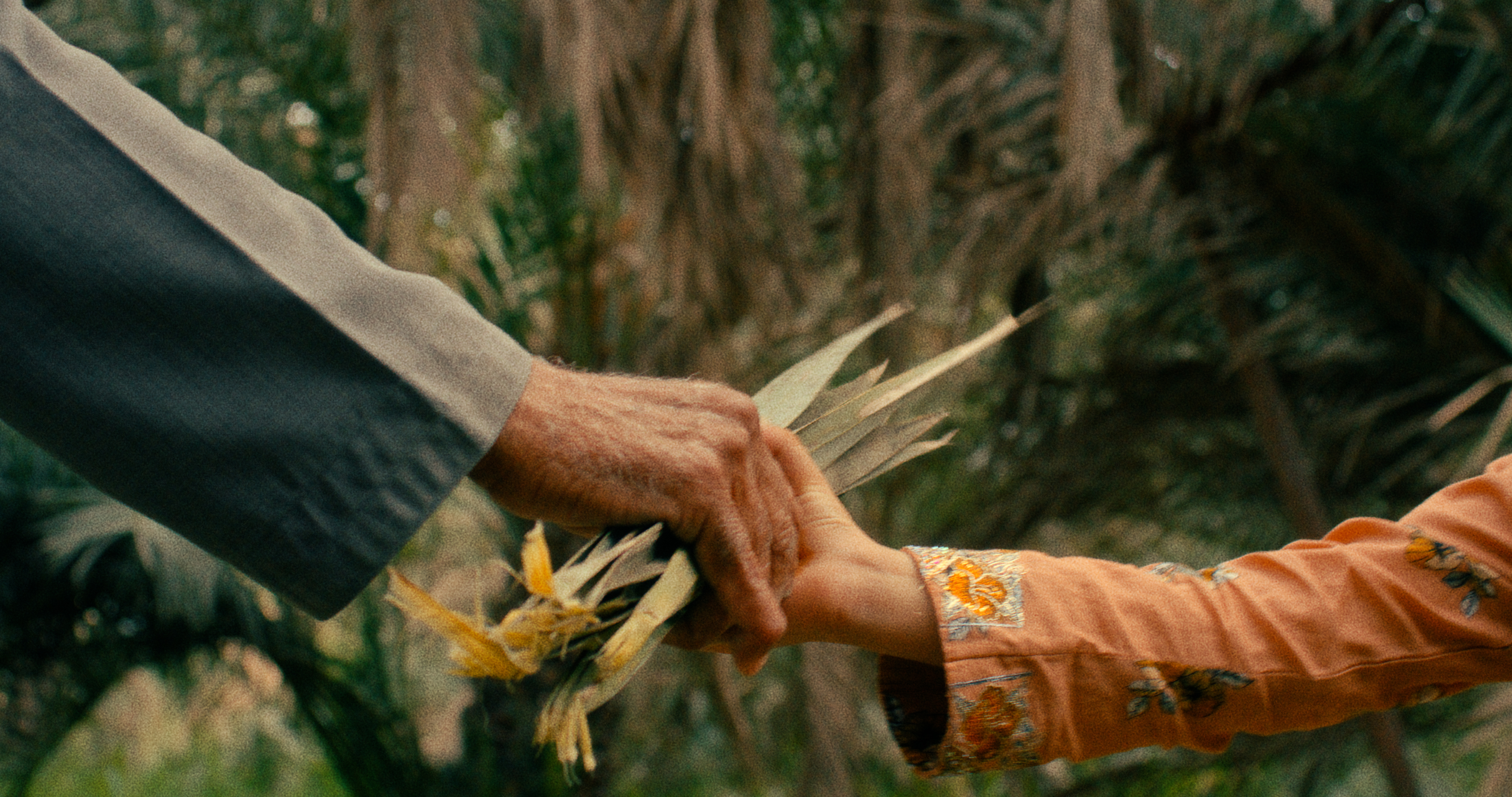 الأسرة ذات الدخل المحدود